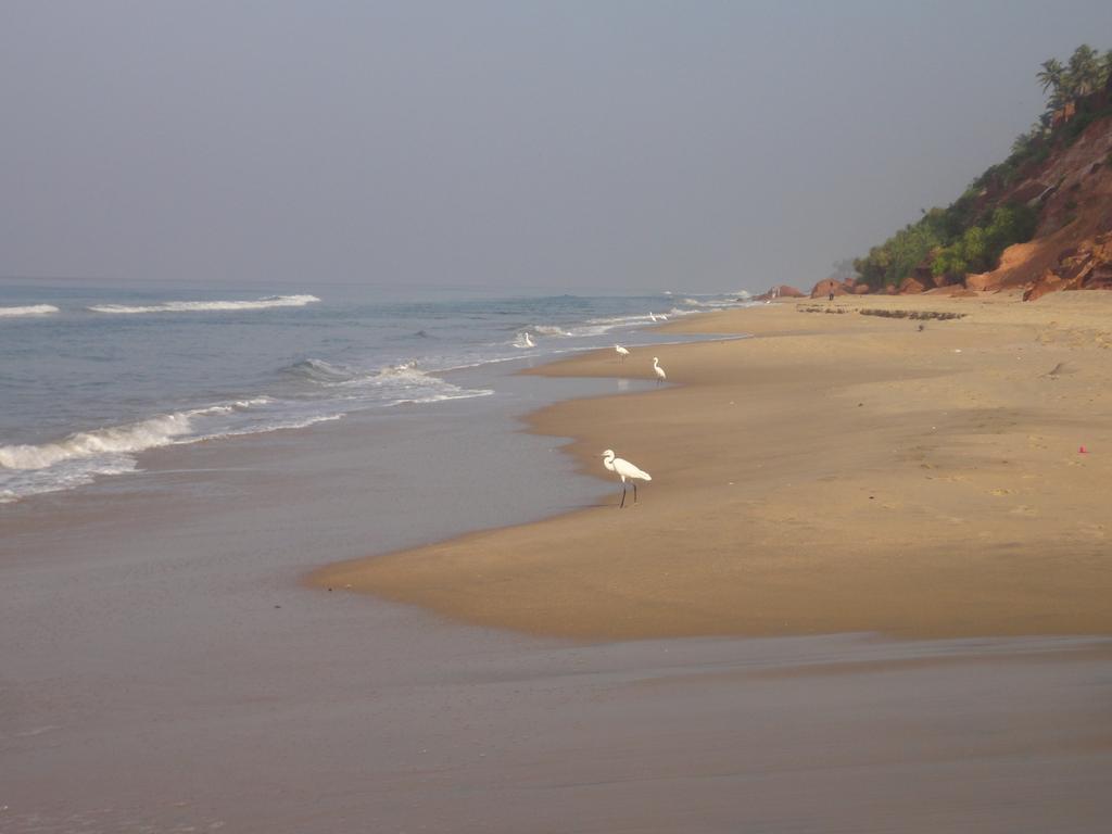 Hotel The Oceano Varkala Esterno foto